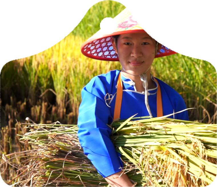 价值观